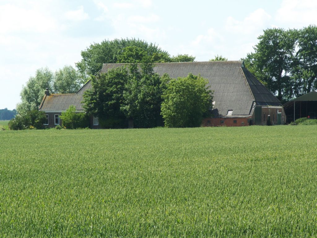 /kraai/foto/Boerderijen/p1050063.jpg